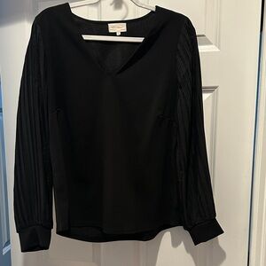 Black V-Neck Blouse with pleated long sleeves - versatile from casual to dressy